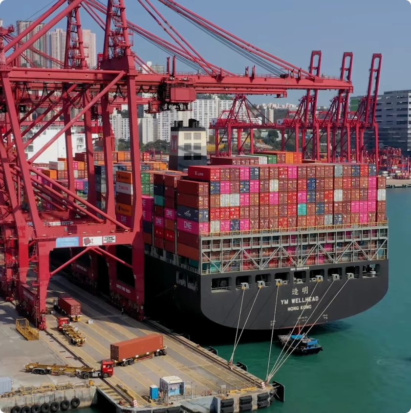 Consolidated Export